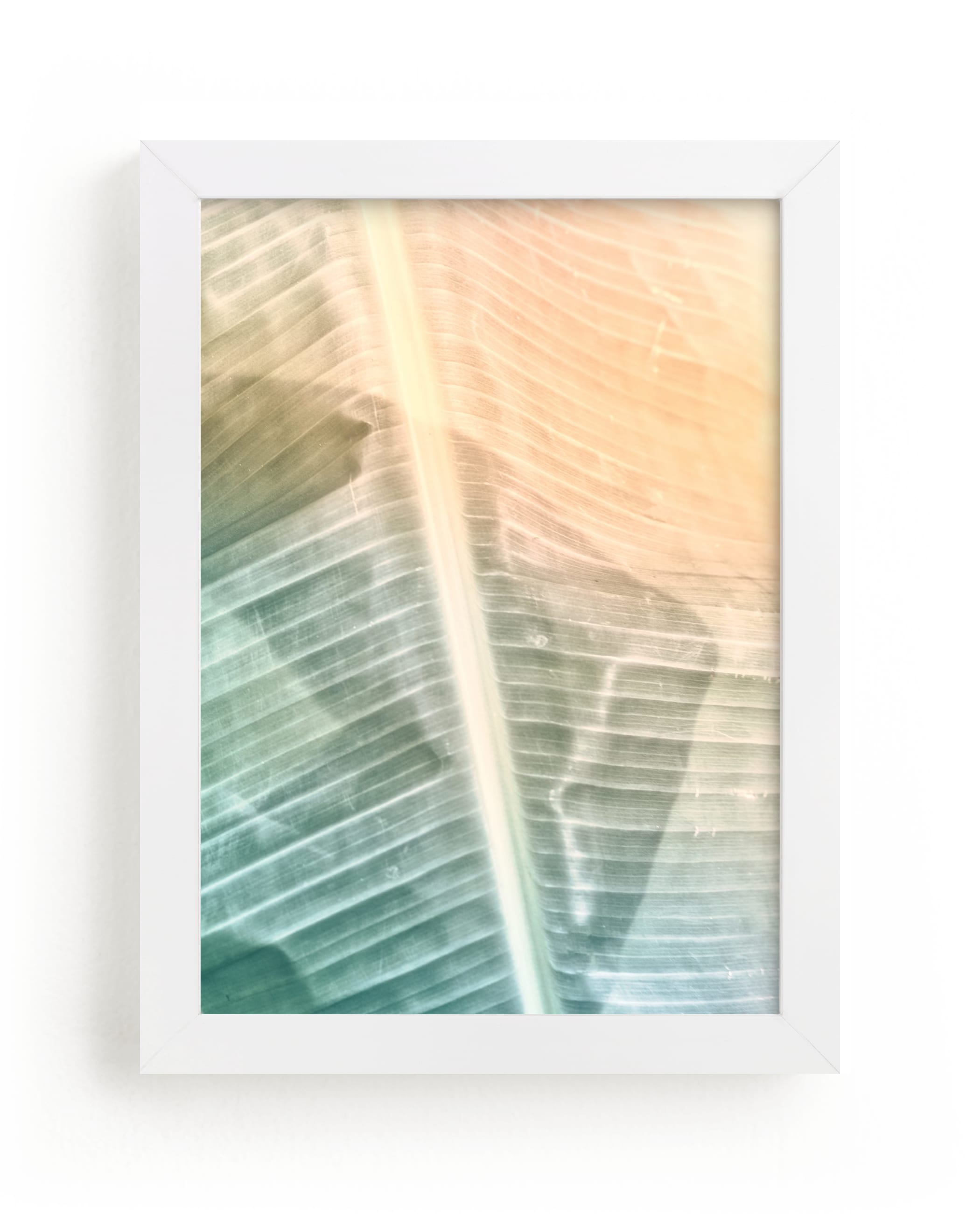 "Catching Light" - Limited Edition Art Print by Alicia Youngken in beautiful frame options and a variety of sizes.