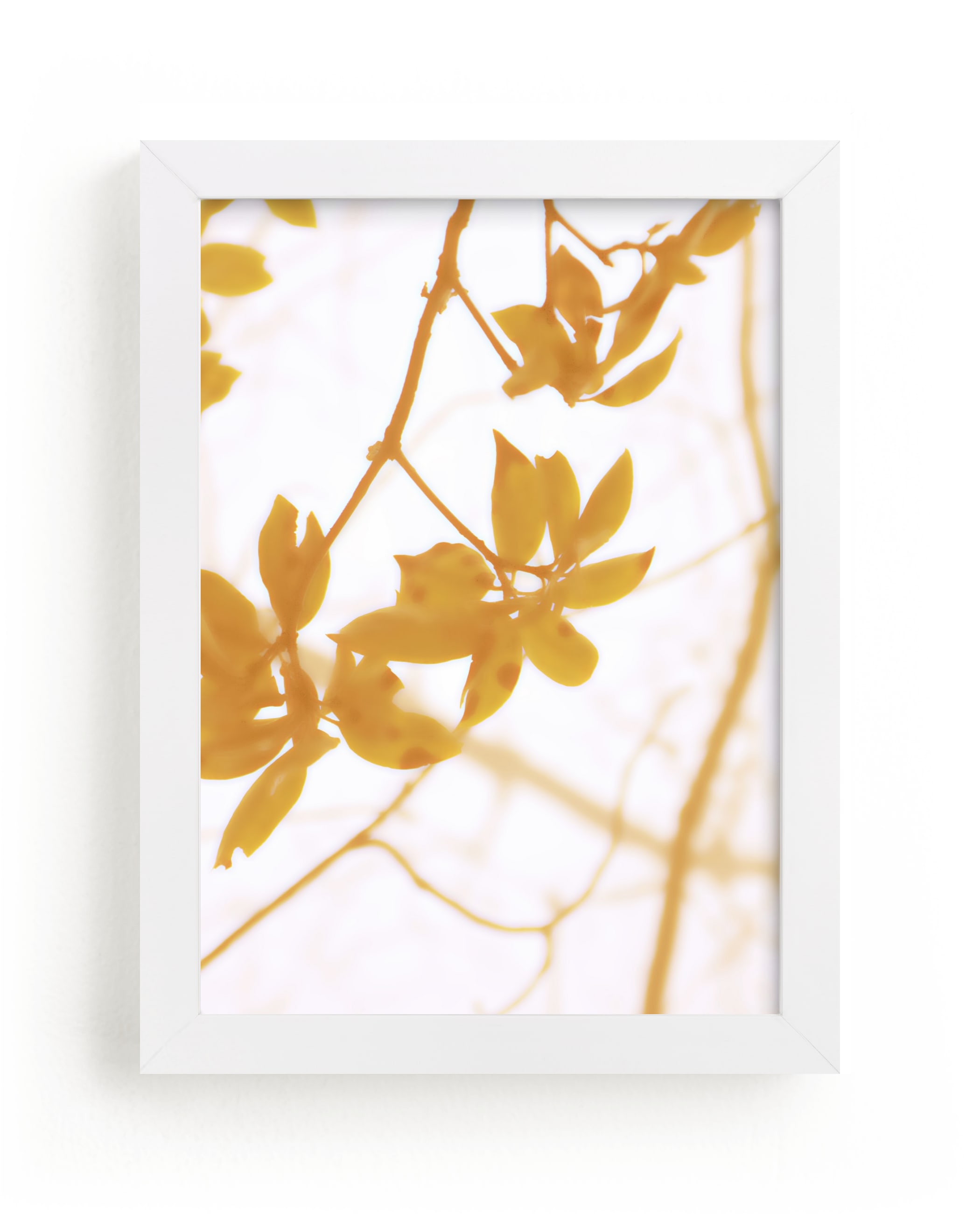 "Morning I" - Limited Edition Art Print by Stellax Creative in beautiful frame options and a variety of sizes.