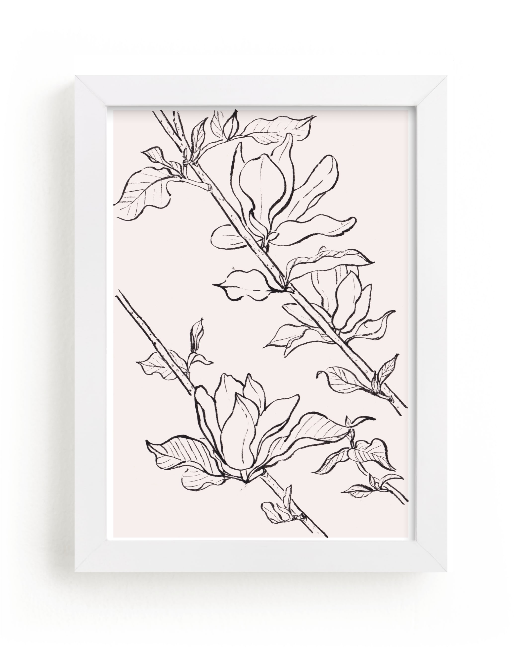 "magnolia study" - Limited Edition Art Print by Qing Ji in beautiful frame options and a variety of sizes.