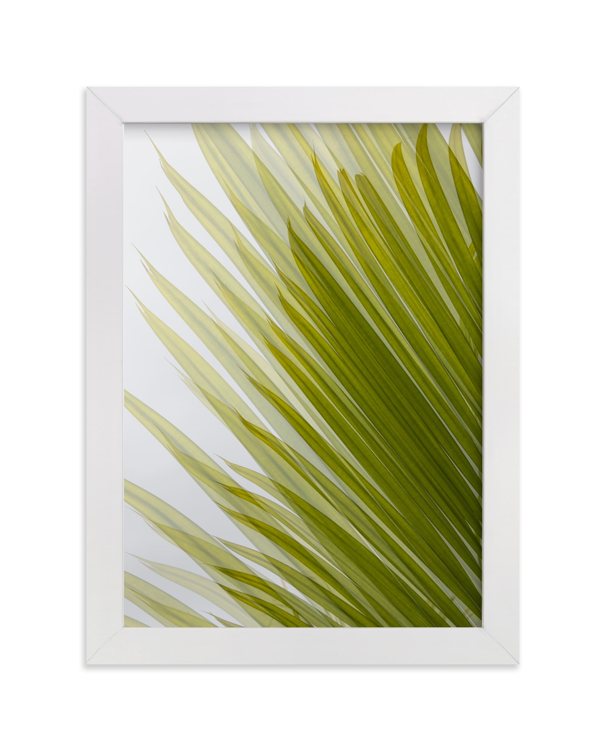 "Palm leaves 2" - Limited Edition Art Print by Eliane Lamb in beautiful frame options and a variety of sizes.