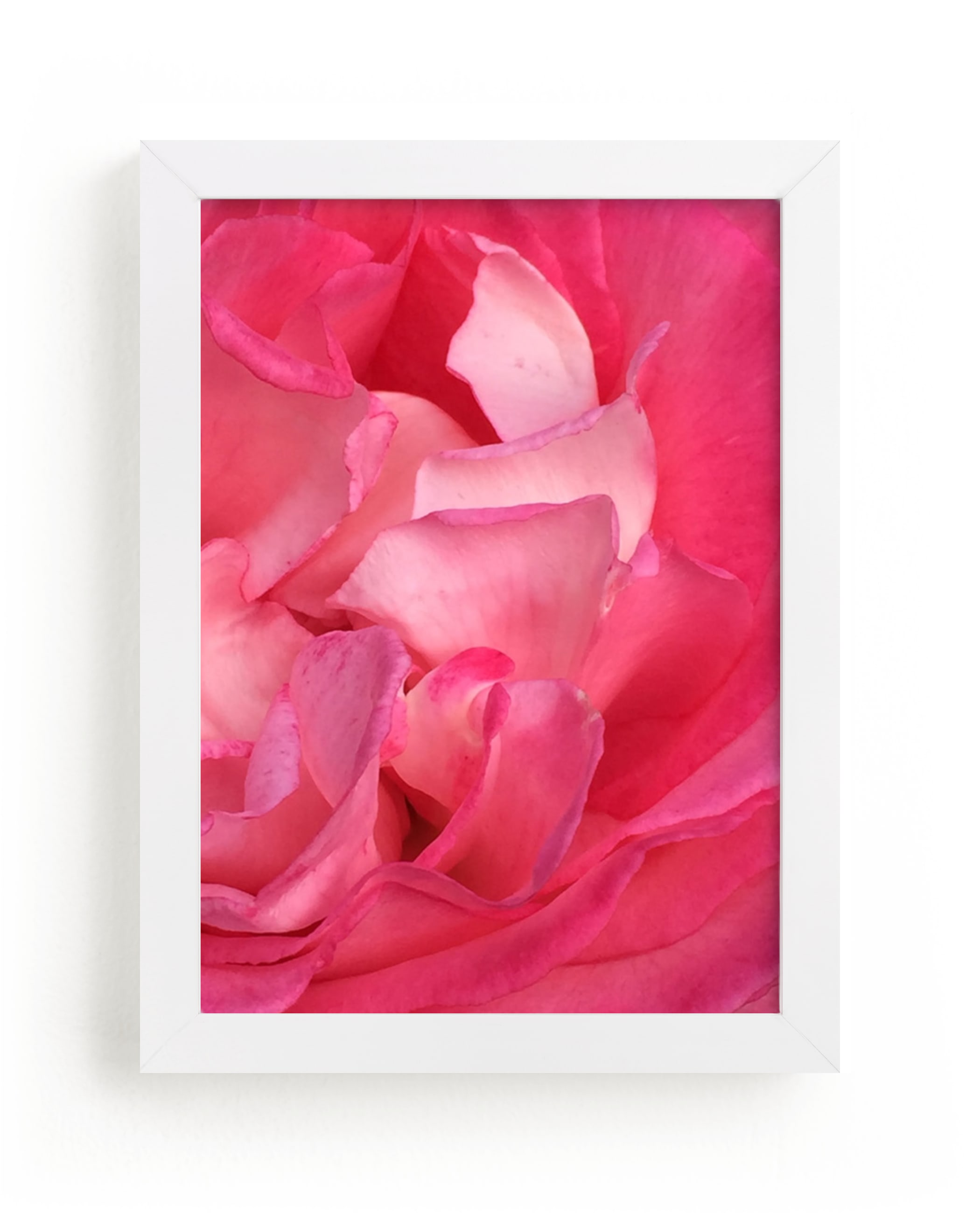 Rose Petals Wall Art Prints by Jan Kessel | Minted