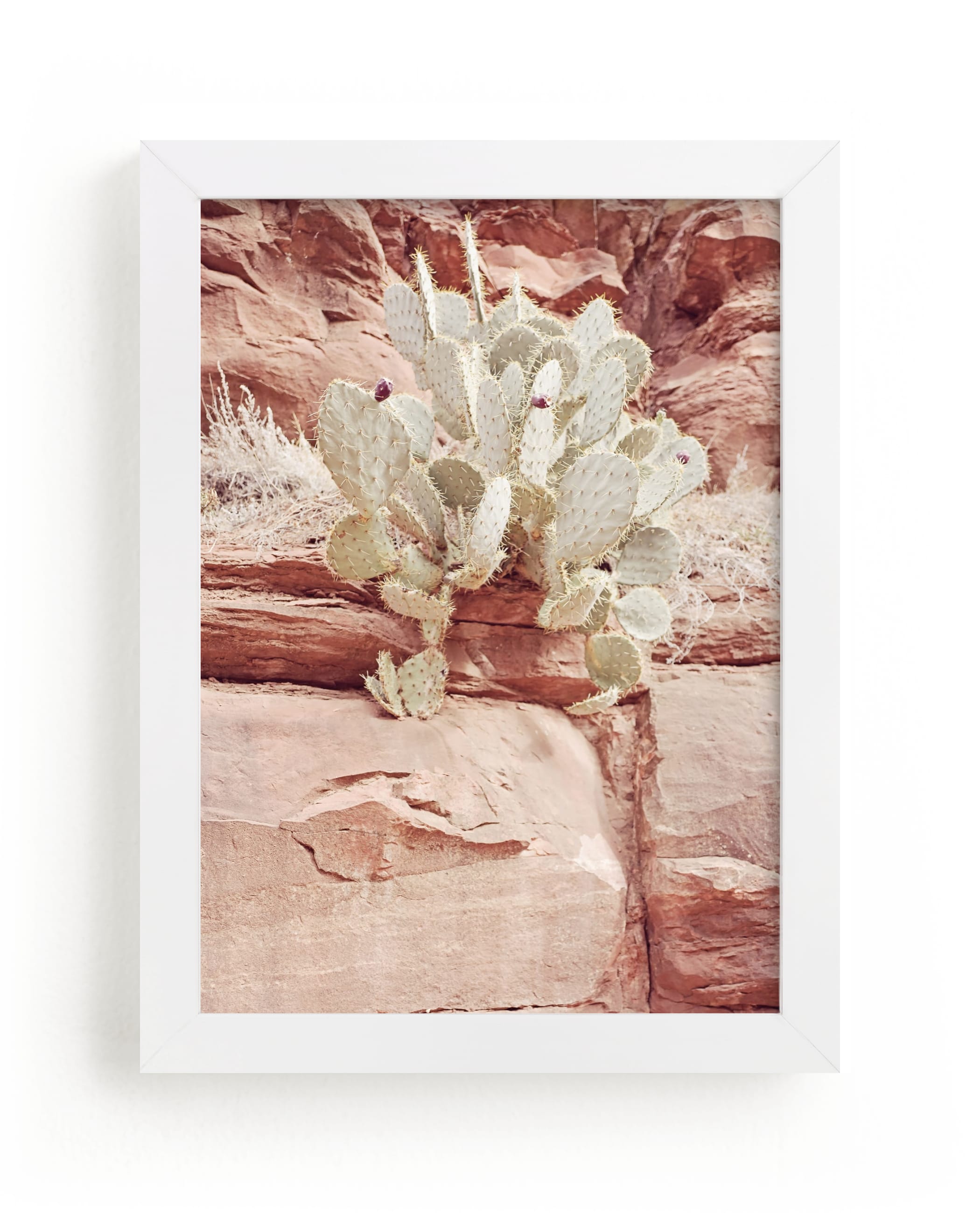 "Flourishing Rock" - Art Print by Tania Medeiros in beautiful frame options and a variety of sizes.