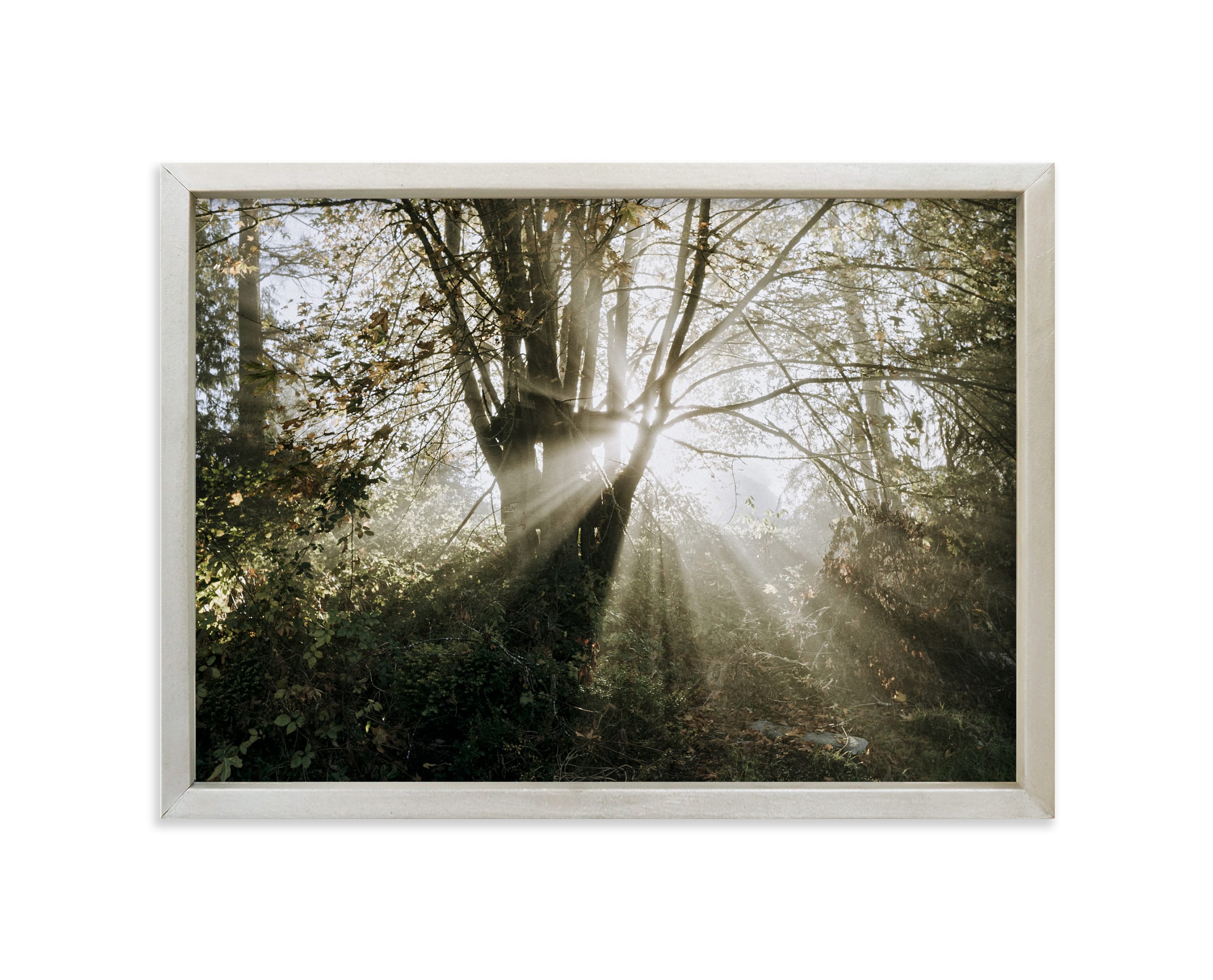 "Foggy Treehouse" - Limited Edition Art Print by Katie Buckman in beautiful frame options and a variety of sizes.