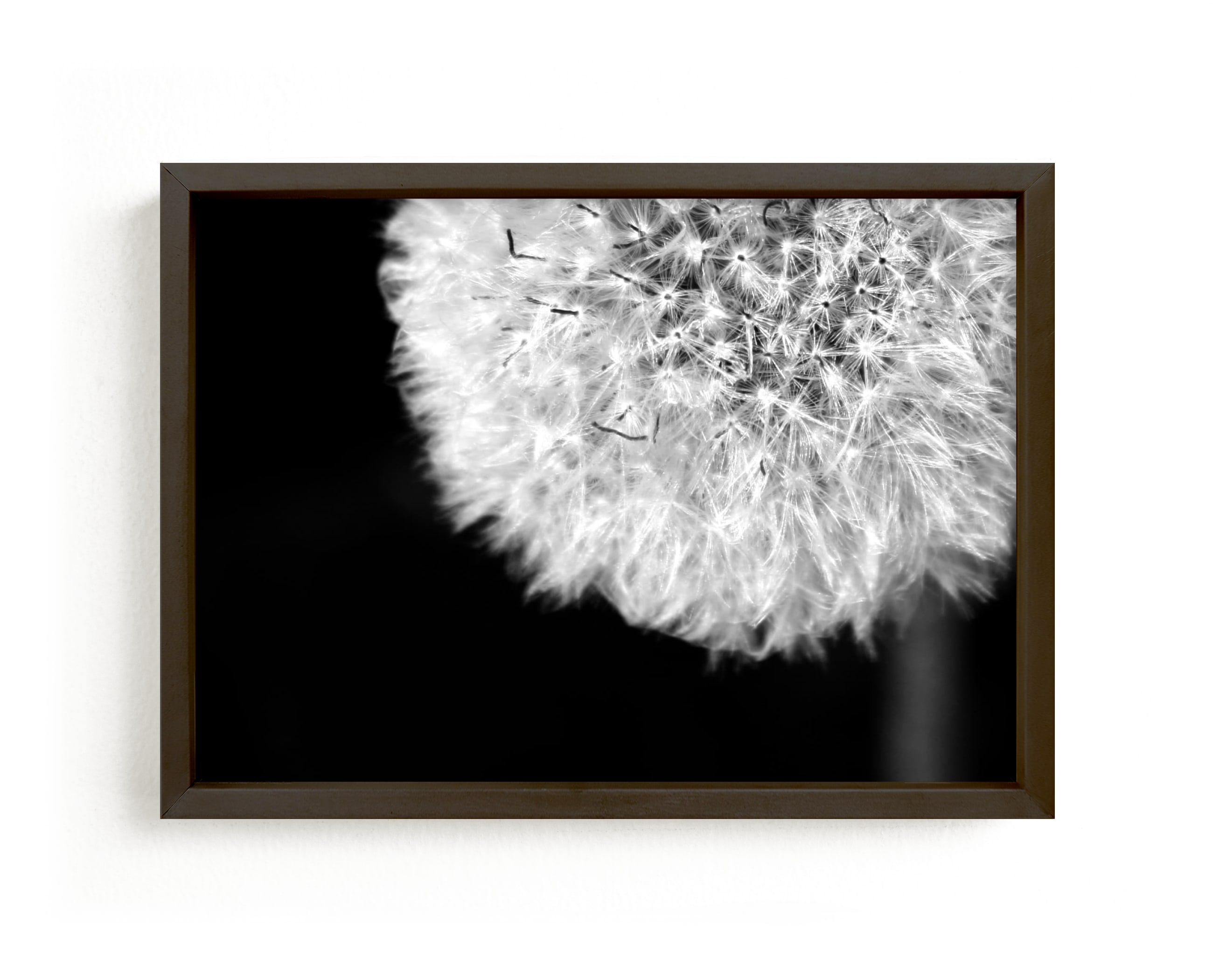 "Dandelion Defined" - Art Print by Janelle Wourms in beautiful frame options and a variety of sizes.