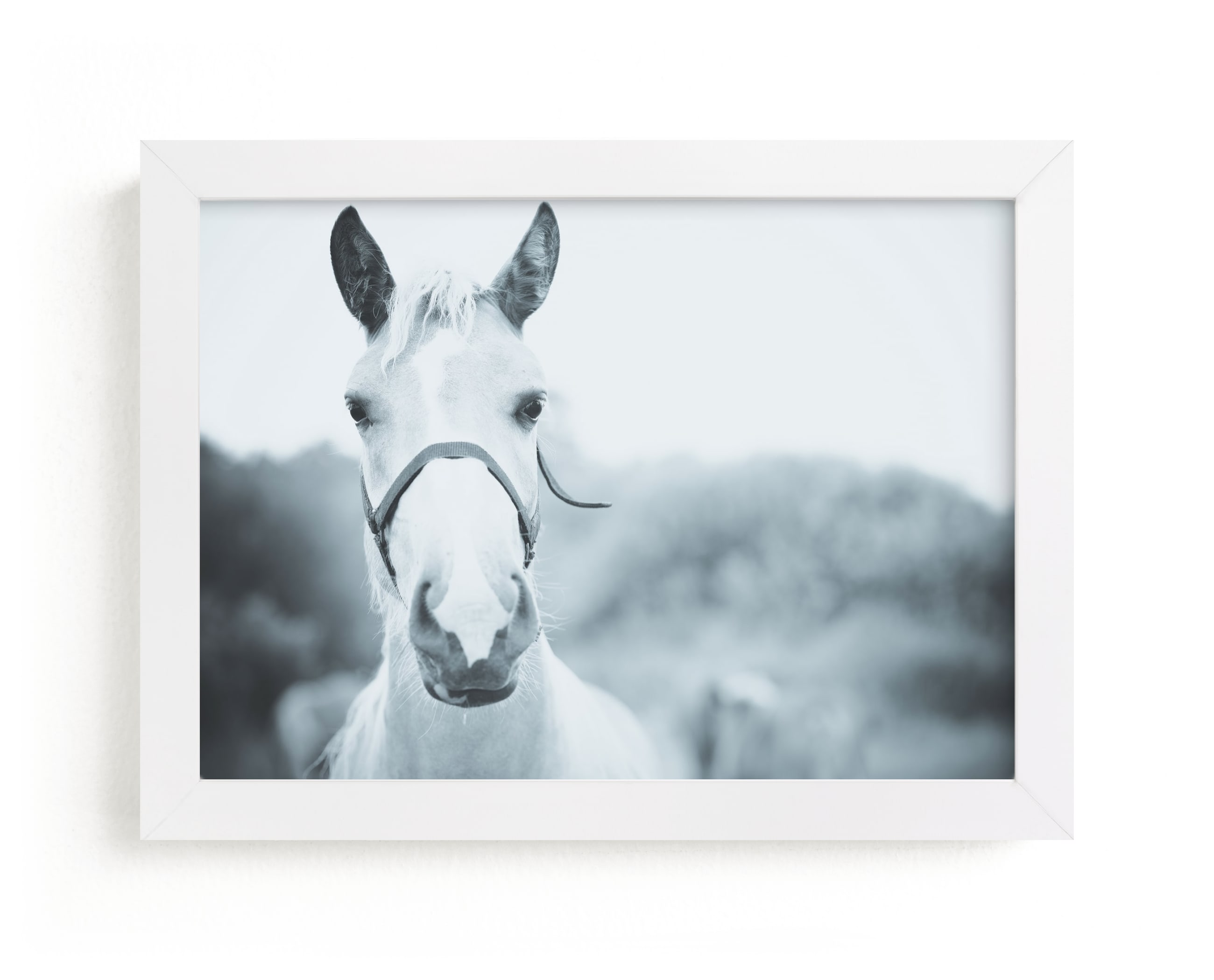 "Horse white" - Art Print by Lying on the grass in beautiful frame options and a variety of sizes.