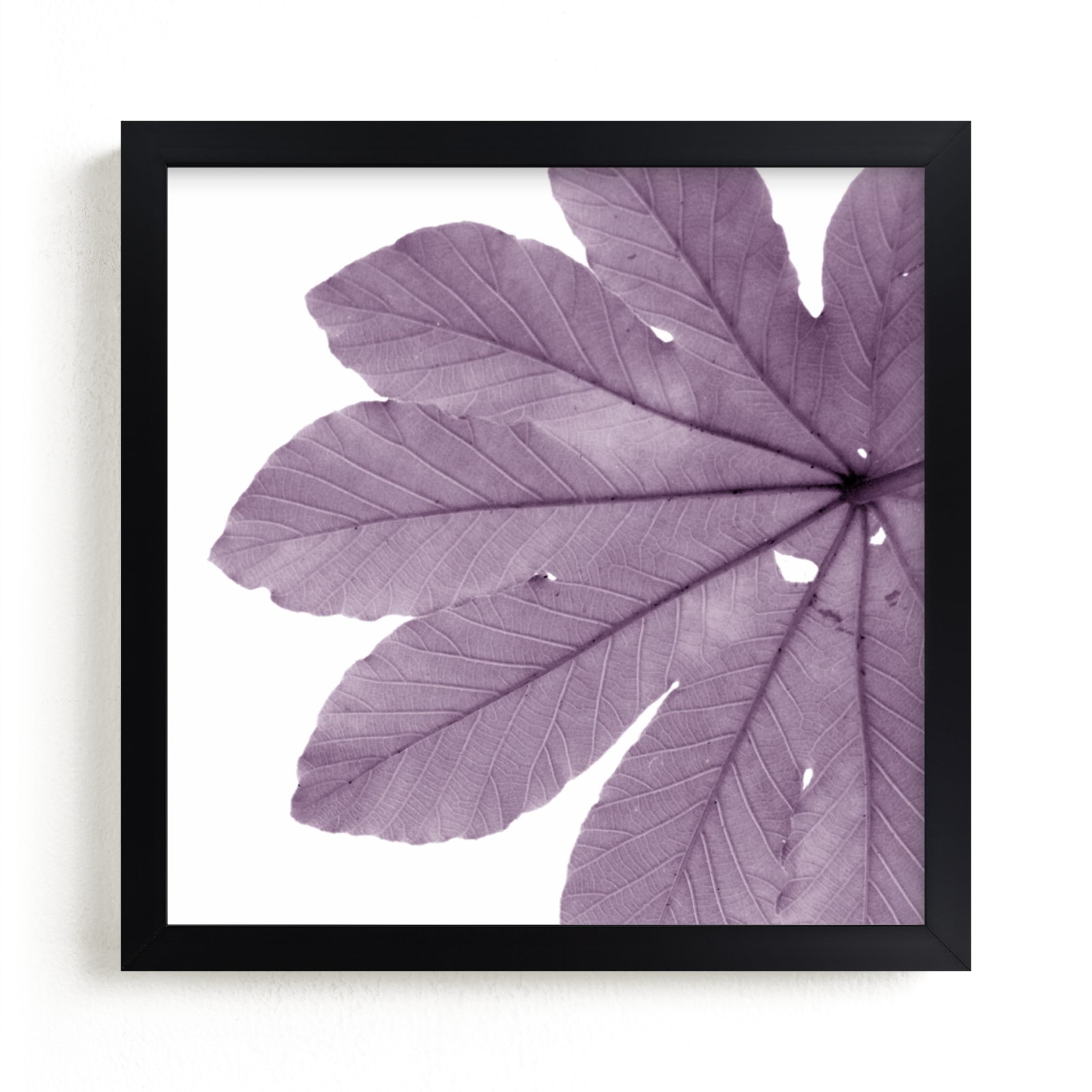 "Leaf in Lilac" - Art Print by Jonathan Brooks in beautiful frame options and a variety of sizes.