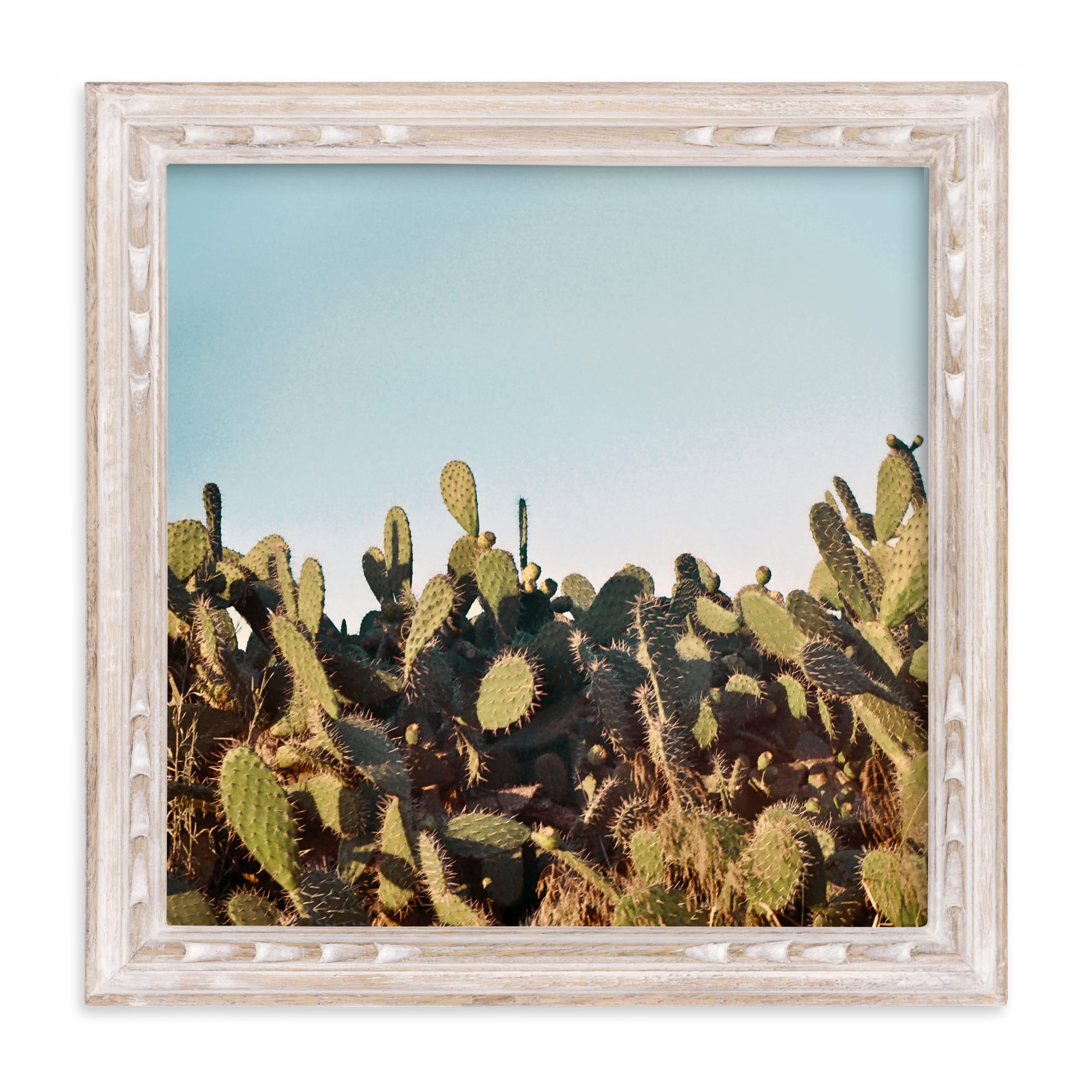 "Cactus in a sunset" - Limited Edition Art Print by Susanna Nousiainen in beautiful frame options and a variety of sizes.