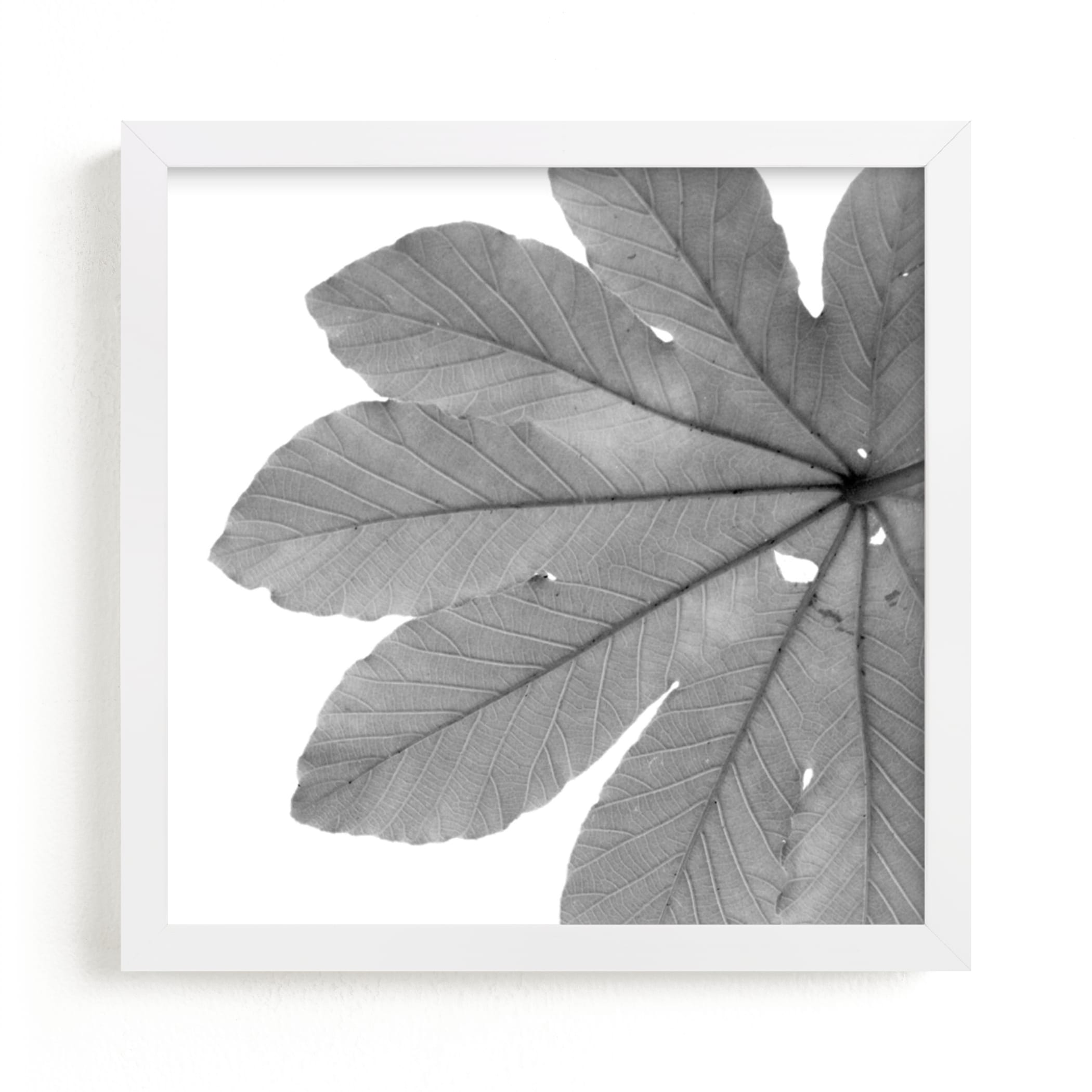 "Leaf in Black & White" - Art Print by Jonathan Brooks in beautiful frame options and a variety of sizes.