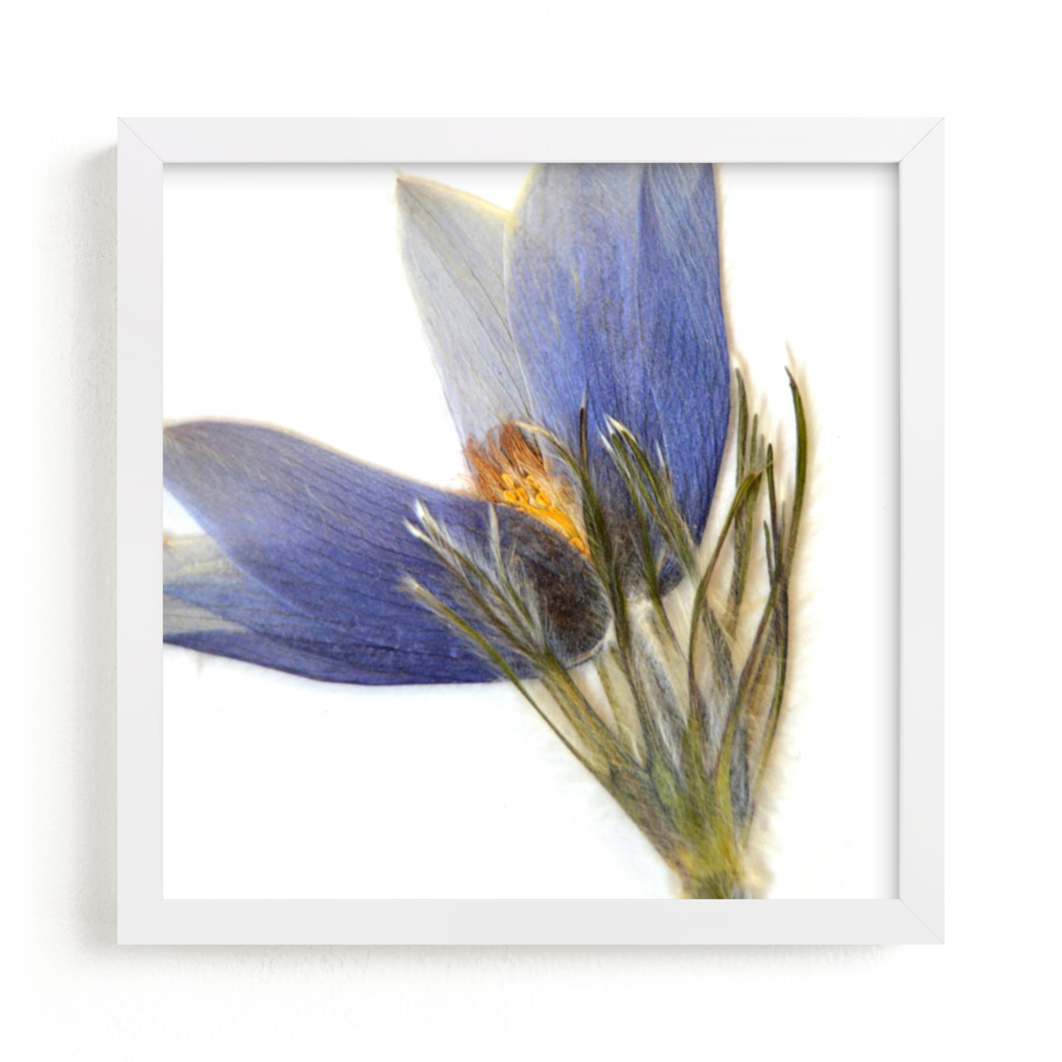 "Member 5" - Art Print by Shannon in beautiful frame options and a variety of sizes.
