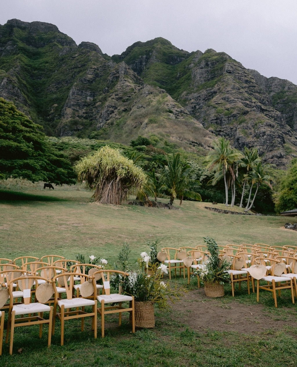 Wedding Budgets