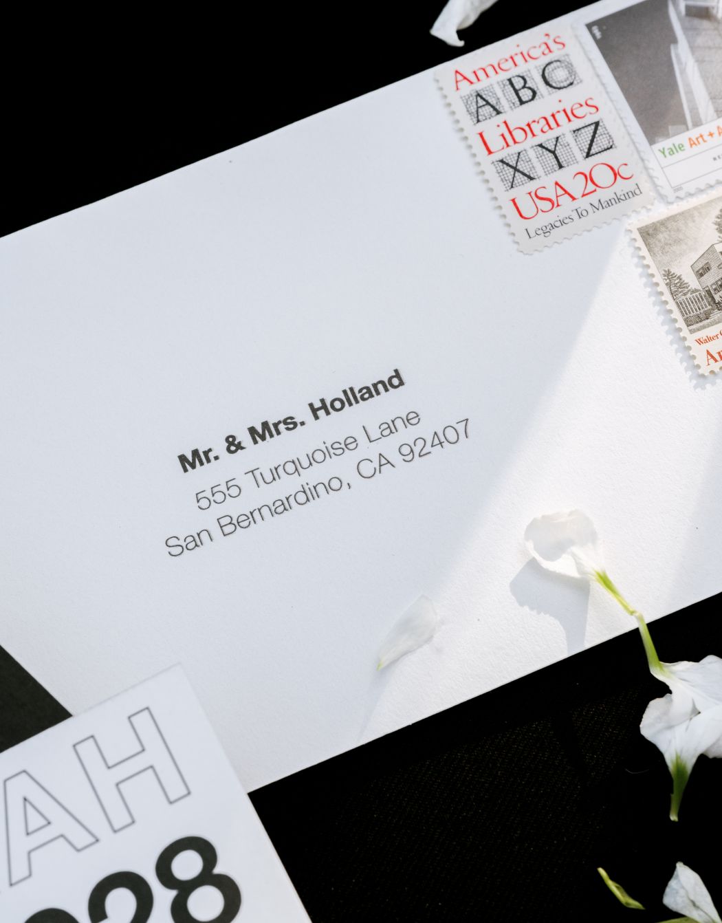 Photo by Erica Robnett